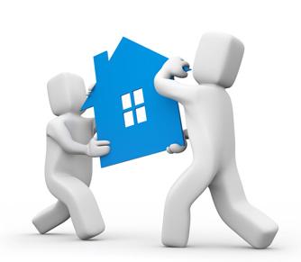 Hướng dẫn chăm sóc cây xanh sau khi chuyển nhà
